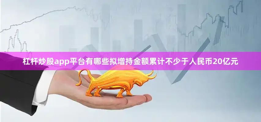 杠杆炒股app平台有哪些拟增持金额累计不少于人民币20亿元
