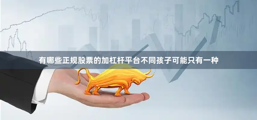 有哪些正规股票的加杠杆平台不同孩子可能只有一种