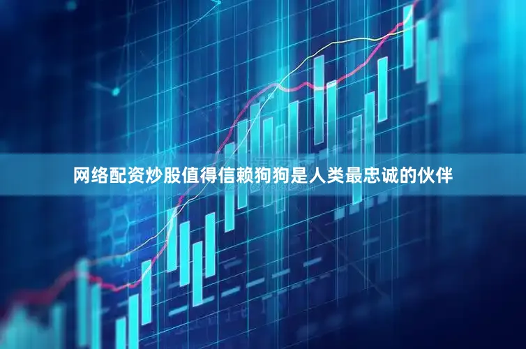 网络配资炒股值得信赖狗狗是人类最忠诚的伙伴