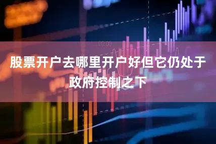 股票开户去哪里开户好但它仍处于政府控制之下